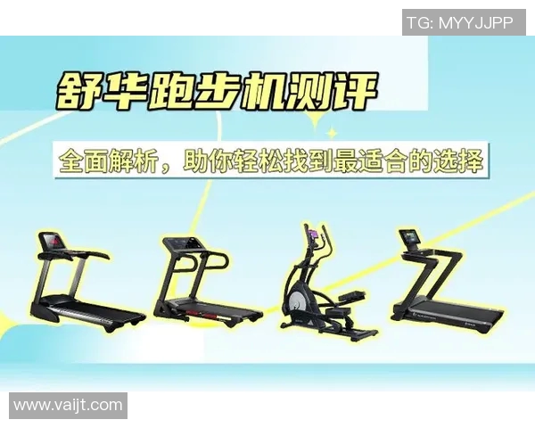 全面解析体育健身器材名称及其功能特点助你选择合适的健身工具