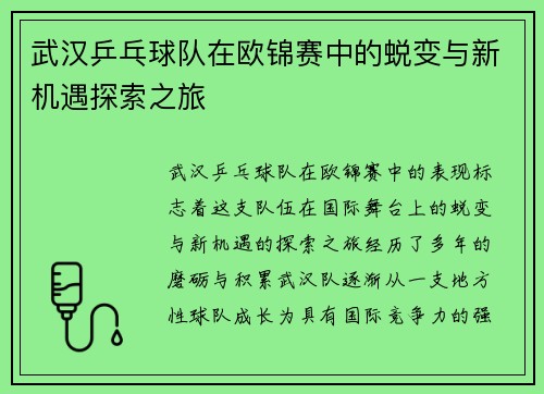 武汉乒乓球队在欧锦赛中的蜕变与新机遇探索之旅